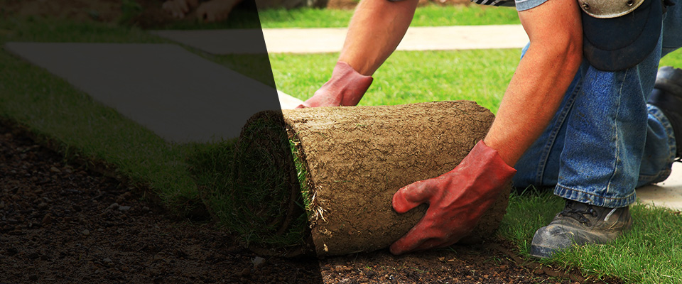 Zuni Landscapers
